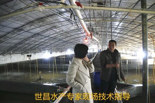 以先進(jìn)典型引領(lǐng)高效漁業(yè)發(fā)展——世昌股份大力培育特種水產(chǎn)養(yǎng)殖示范戶的實(shí)踐與探索